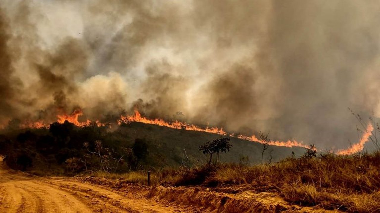 Onda de calor na Europa e nos EUA provoca mortes e incêndios florestais