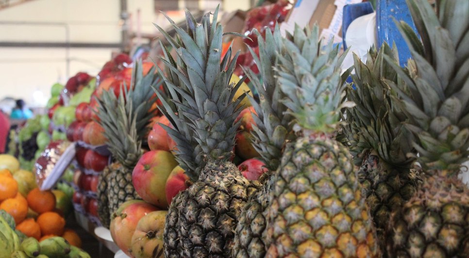 FRUTAS / Foto: Fotos: Ascom Semdec