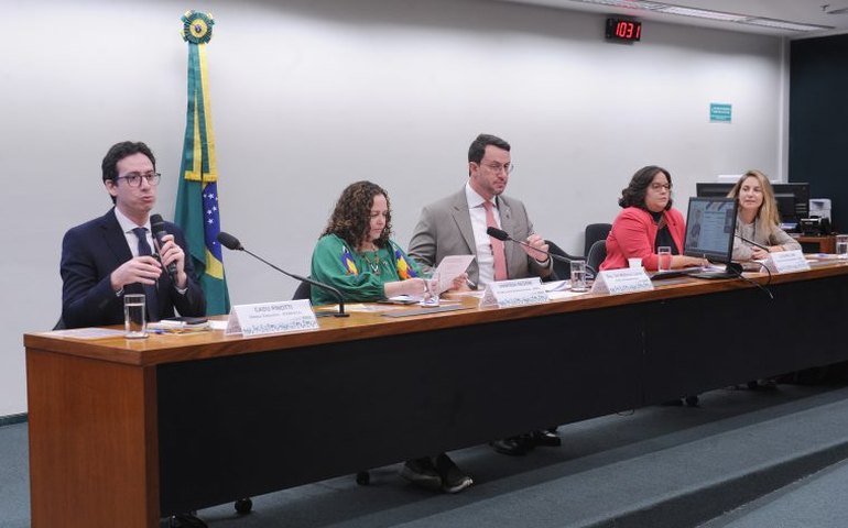 Participantes de audiência apontam falta de apoio a ONGs de animais e superlotação de abrigos