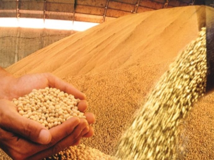 Embrapa aponta Alagoas com potencial para produção de soja