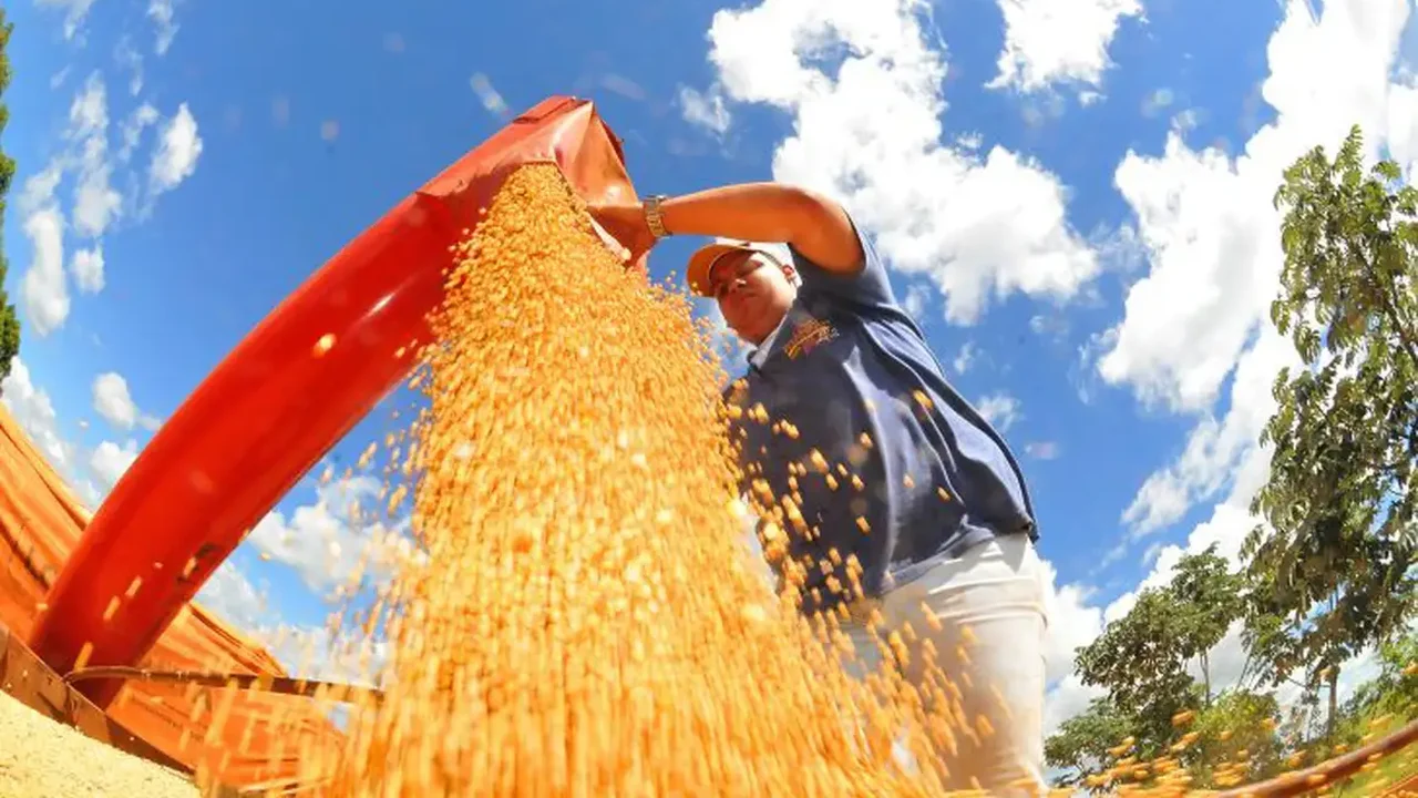 Balança comercial tem menor superávit para julho em três anos
