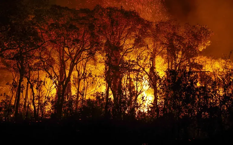 Como começaram os incêndios em SP? Veja o que se sabe sobre a origem das chamas