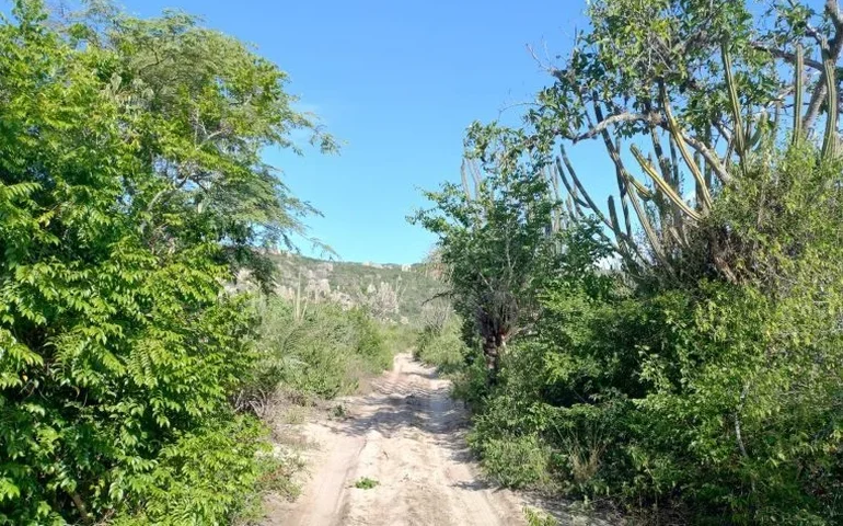 Audiência discute desenvolvimento sustentável do Vale do Catimbau (PE)