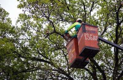 Programas de educação ambiental da Prefeitura promovem futuro sustentável de Maceió
