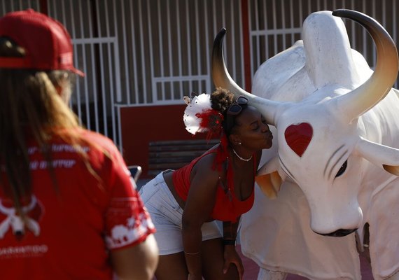 Garantido ou Caprichoso? Começa Festival de Paritins