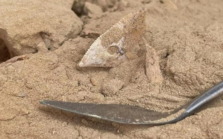 Antes do desenvolvimento da agricultura, há 7 mil anos, população do sul da Arábia caçava tubarões