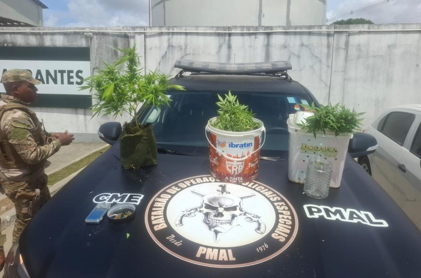 Polícia apreende 5kg de drogas e descobre plantação de maconha em Maceió