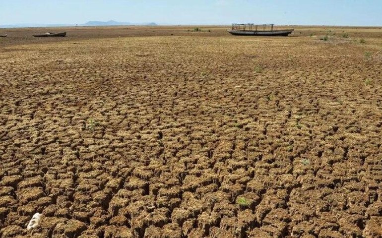 COP 30 em Belém busca mobilizar US$ 1,3 trilhão para combater mudanças climáticas