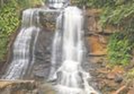 Dados da Braztoa mostram recuperação do setor na capital