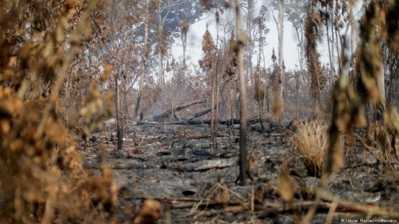“Governo tenta intencionalmente destruir povos indígenas”