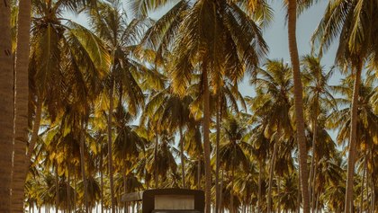 Você não imagina que esses lugares ficam em Alagoas!