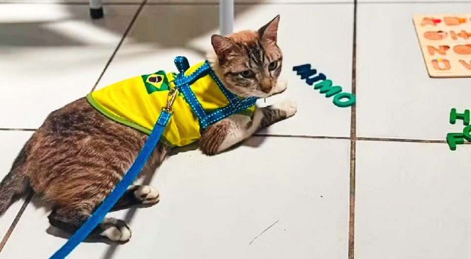 Foto: reprodução