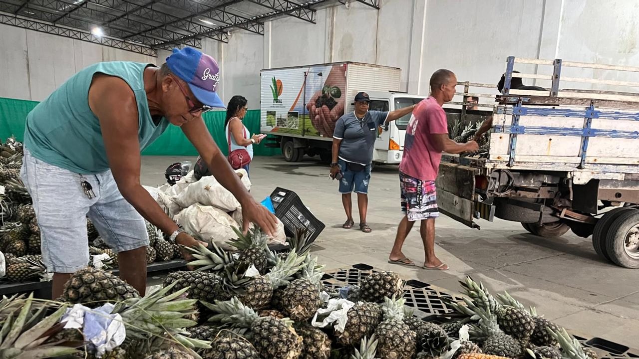  Governo de Alagoas lança Programa de Aquisição de Alimentos a ser executado em 2024  