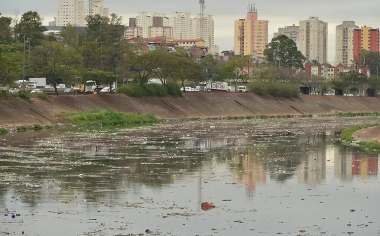 Quais são os cursos d'água mais limpos e os mais sujos de SP?