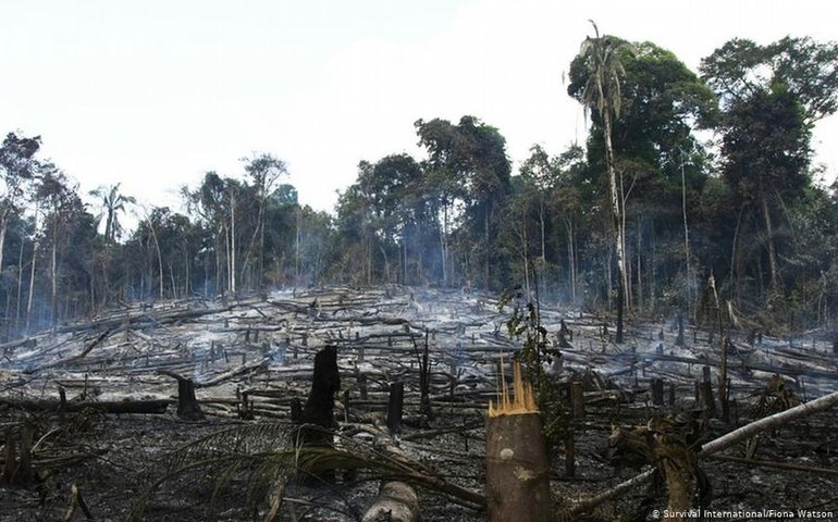 O sofrimento da Amazônia vai continuar em 2020?