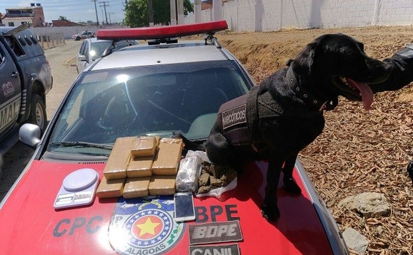 Cadela do Bope encontra 6 kg de maconha enterrada em Maceió