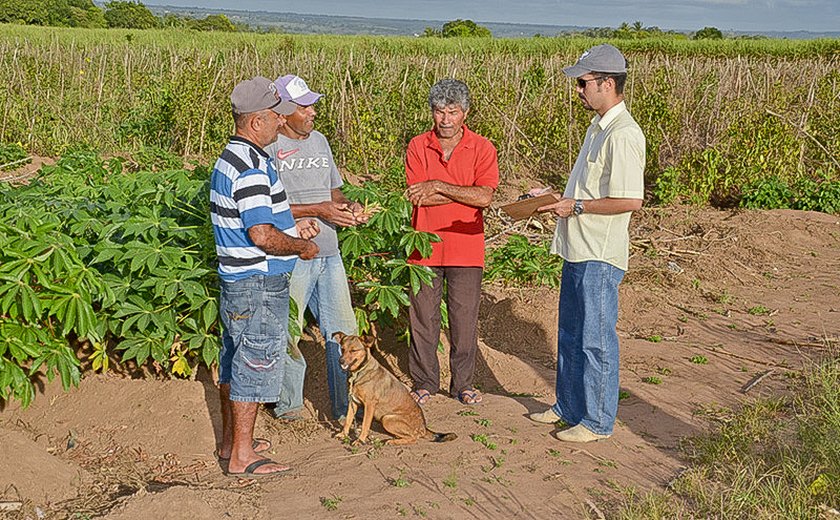 Agricultores familiares de Limoeiro de Anadia recebem orientação para melhorar produção