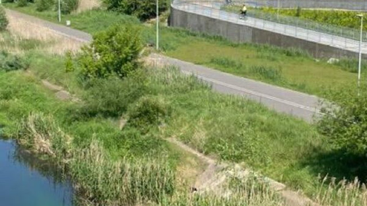 🟢 Mistério de águas verdes: rio polonês Cybinaem muda de cor, assustando moradores