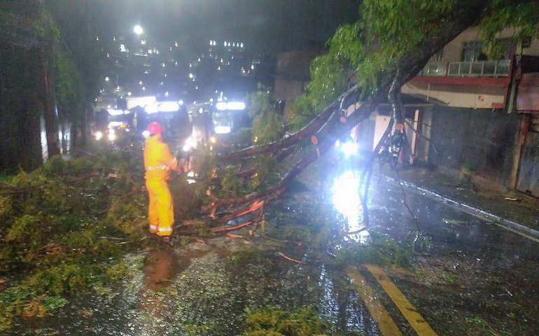 Ciclone deixa 1,2 milhão de clientes sem energia em São Paulo