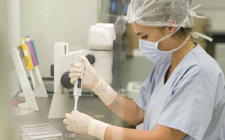 Fertilização ‘in vitro’ e congelamento de óvulos passam a ser oferecidos como benefícios por empresas