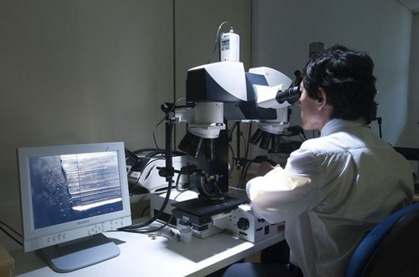 76% de perícias realizadas pelos IMLs de Alagoas são em pessoas vivas