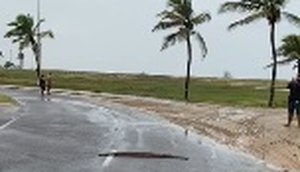 COBRA ATRAVESSANDO AVENIDA NA ORLA