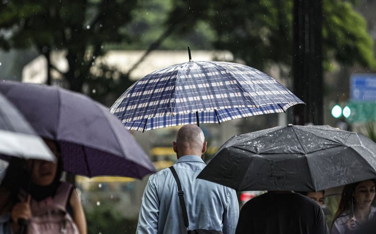 SP: Chuva, ventos fortes e queda de árvores deixam 900 mil sem energia