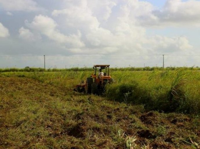 Prefeitura de Pilar vai entregar dois mil metros quadrados de terra a agricultores