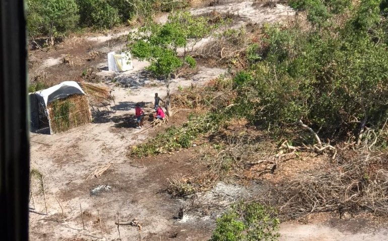 IMA lavra auto de R$ 750 mil por desmatamento de 100ha em Piaçabuçu