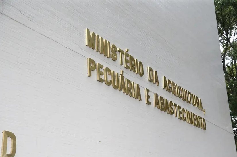 Brasil se declara país livre da gripe aviária