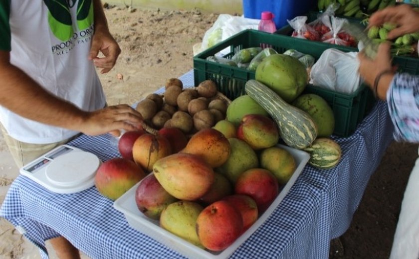 Feira na Semarh continua atraindo consumidores de produtos orgânicos
