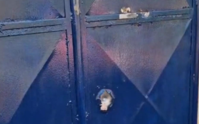 Escola indígena amanhece com marcas de tiros em Palmeira dos Índios