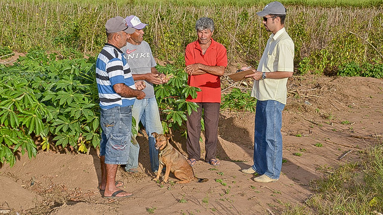 Agricultores familiares de Limoeiro de Anadia recebem orientação para melhorar produção