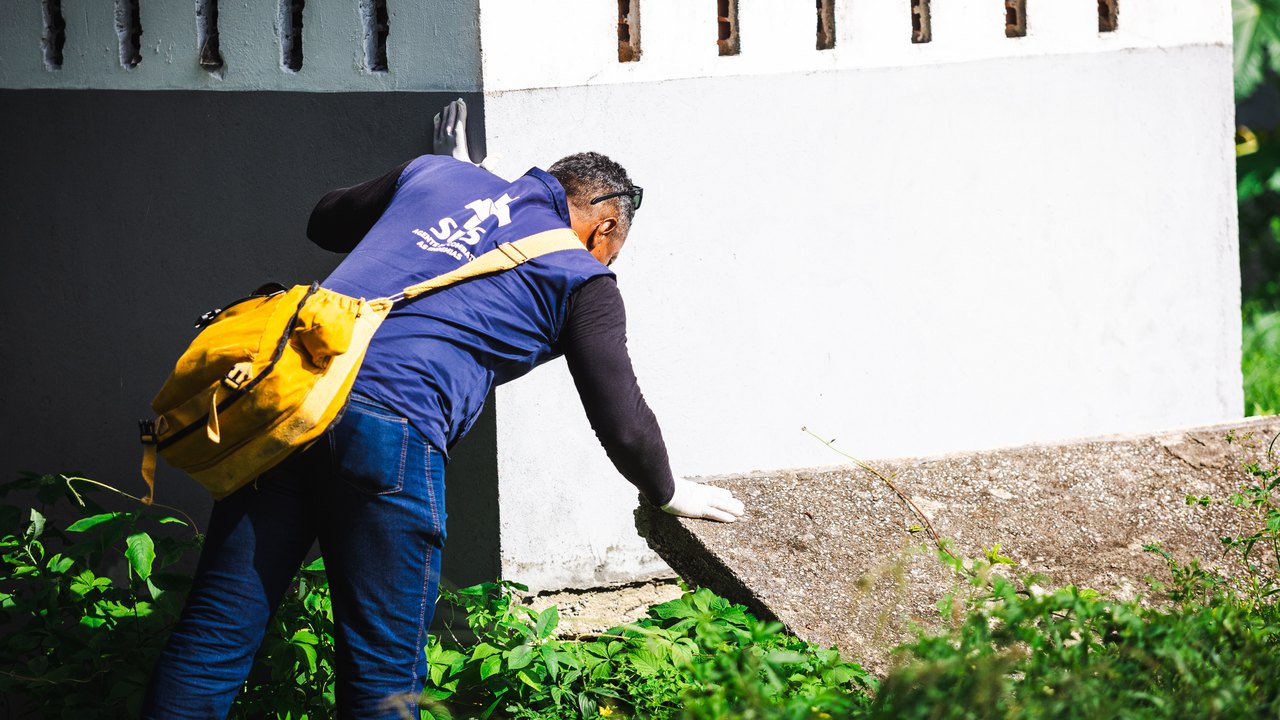 Dengue: vacina Qdenga reduziu risco de internações de adolescentes de SP em 88%, revela estudo