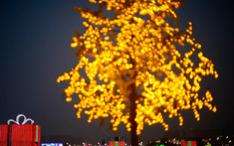 Iluminação de Natal encanta várias cidades do Brasil