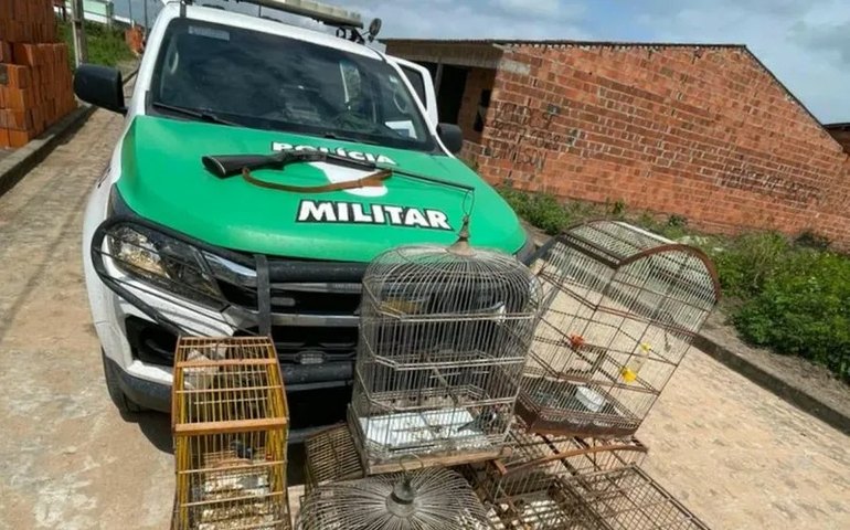 Batalhão Ambiental apreende armas de caça e resgata aves silvestres em Rio Largo