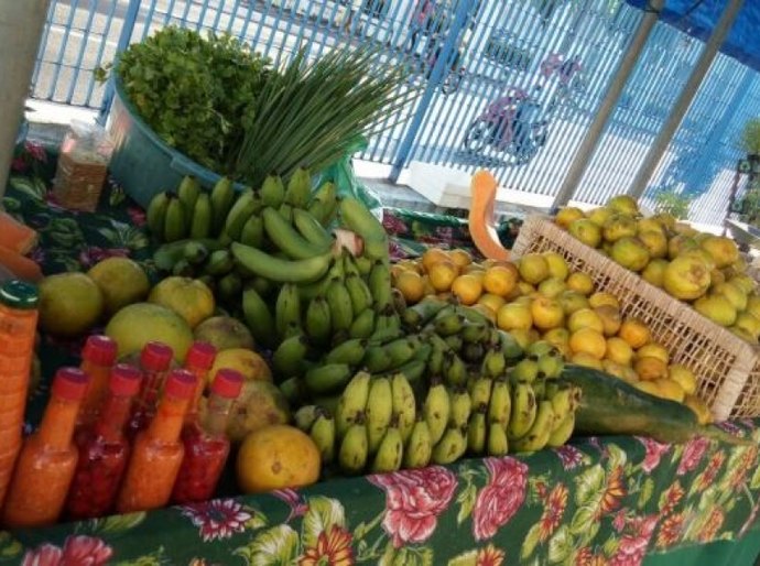 Secretaria de Agricultura promove mais uma Feira Orgânica nesta sexta-feira