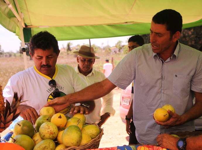 Agricultores familiares divulgam produtos na 1ª Expo Frutas de Arapiraca