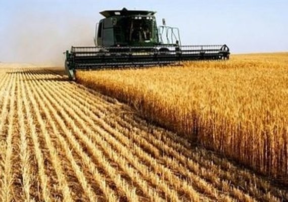 Plano Safra cresce em todas as regiões do Brasil