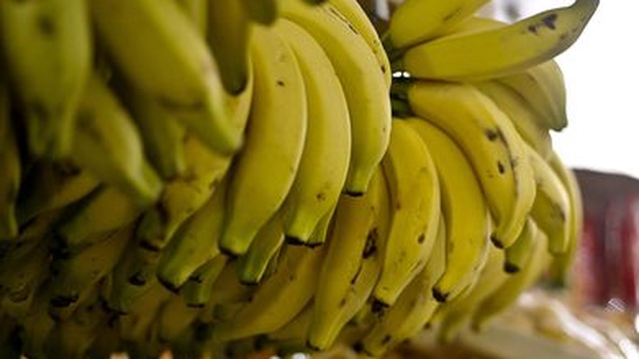Funcionária da Comlrb é presa suspeita de matar namorado com vitamina de banana