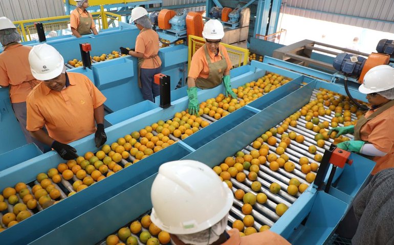 Exportação de produtos atingidos por tarifaço cai 22% em agosto