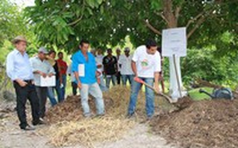 Dia de campo mostra que mercado de orgânicos está crescendo