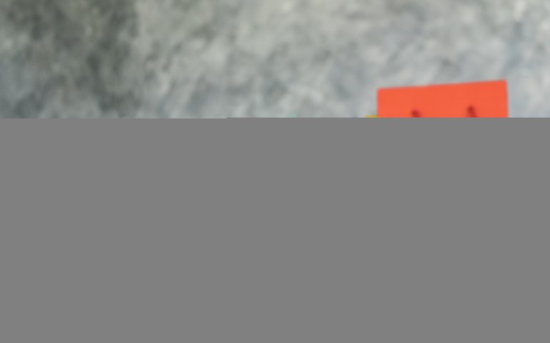 Dia do Cliente: conheça os direitos básicos do consumidor