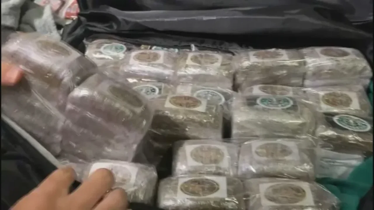 Homem é preso com 30 quilos de maconha no Aeroporto do Galeão, no Rio