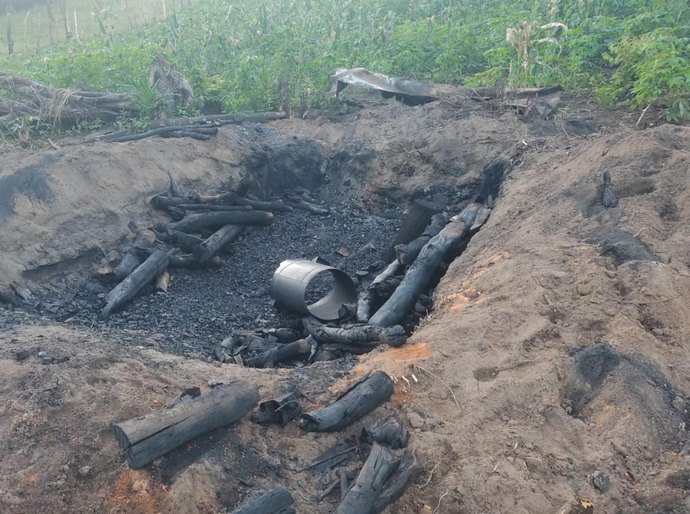 Operação Protetor dos Biomas intensifica combate a crimes ambientais em Alagoas