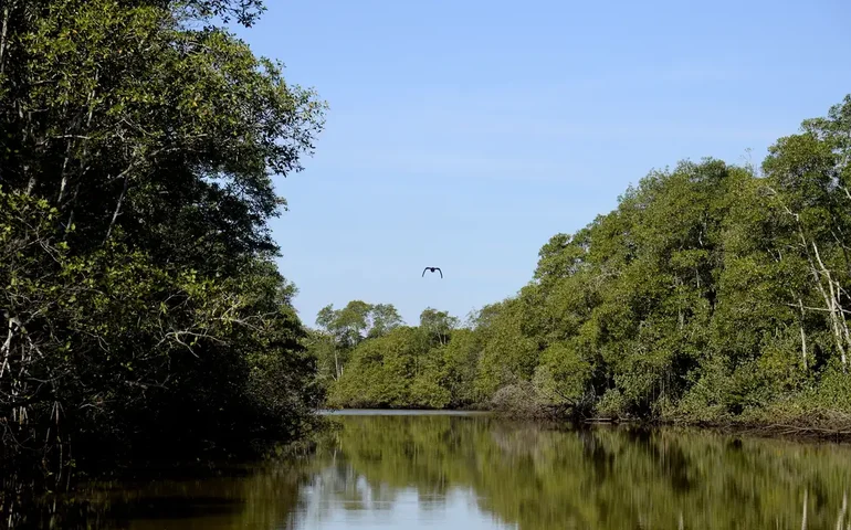 Taxa ambiental precisa ser fiscalizada para não ser desvirtuada, diz especialista