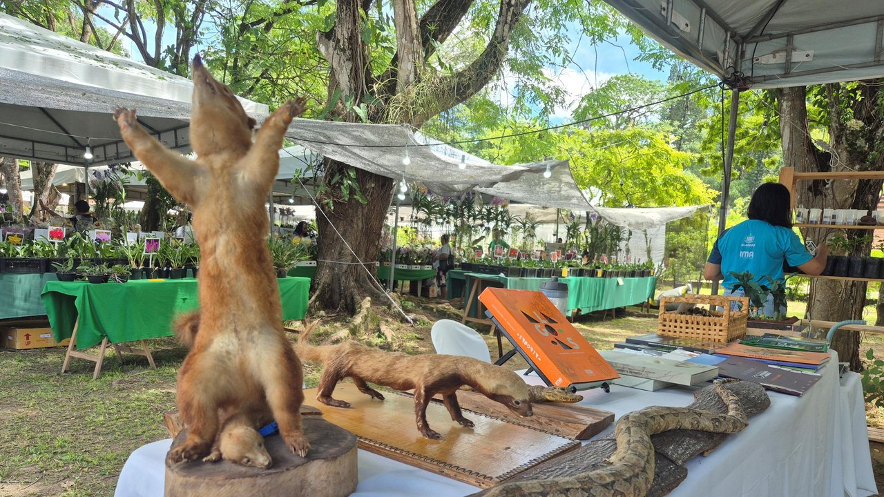 Estande do IMA/AL leva educação ambiental à Exposição de Orquídeas e Bromélias de Alagoas
