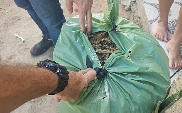 Polícia Militar prende suspeito de homicídio e apreende 25 kg de maconha no interior de Alagoas