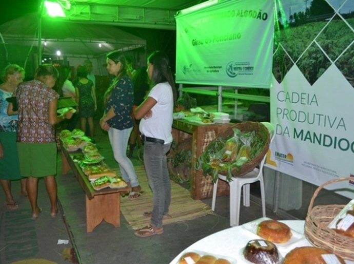 Diretor-presidente da Emater faz balanço da participação na Expoagro
