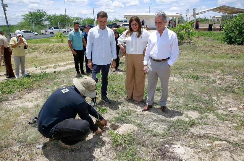 Parceria entre projeto Alagoas Mais Verde e TJ AL impulsiona reflorestamento no Sertão